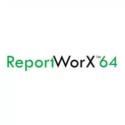 ico-reportworx64-rpt-100