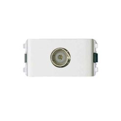 3031TV75MS G19.jpg