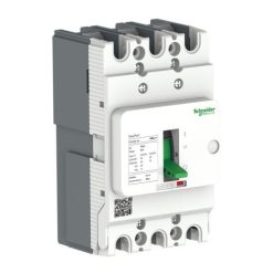 Aptomat-Khoi-MCCB-Schneider-EasyPact-EZS-3P.jpg