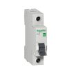 MCB-Schneider-Easy9-1P.jpg
