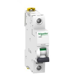 MCB-Schneider-IC60H-1P-10kA.jpg