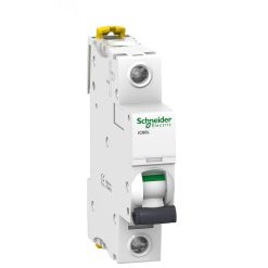 MCB-Schneider-IC60L-1P-15kA.jpg