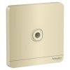 Mat-dau-day-Schneider-E8331TB WG G19.jpg