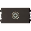 O-TV-size-S-Schneider-8431STV BZ G19.jpg