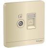 O-cam-TV-va-o-cam-mang-cat5e-Schneider-E8332TVRJS5 WG G19.jpg
