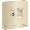 O-cam-TV-va-o-cam-mang-cat6e-Schneider-E8332TVRJS6 WG G19.jpg