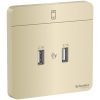 O-sac-USB-doi-2.1A-Schneider-E8332USB WG G19.jpg