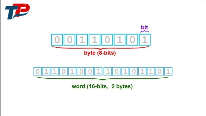 Word là một nhóm gồm 16 bit (2 byte) liên tiếp