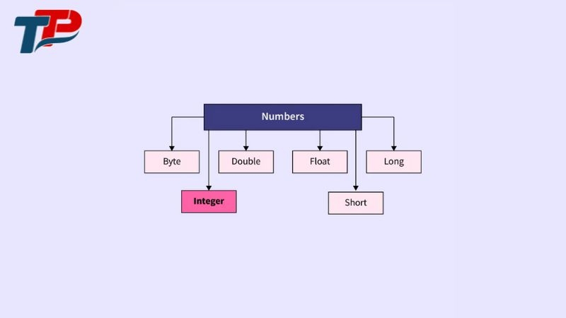 INT (Integer) là kiểu số nguyên 16 bit có dấu