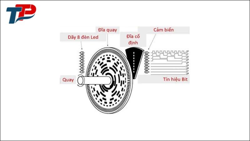 Cấu tạo của encoder tuyệt đối