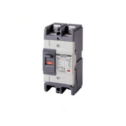 MCCB-LS-ABS-2P.jpg