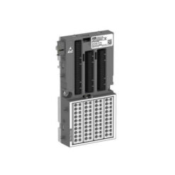 9IBA250039.jpg